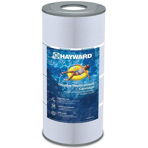    Hayward Swim-Clear C100SE